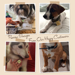 Custom Name Funny Design Pet-Dog Tag