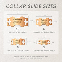 Personalized Dog-Pet Id Collar Slide On Bone Tags