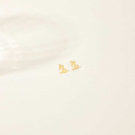 Custom Tiny Zodiac Studs Earrings