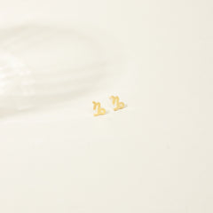 Custom Tiny Zodiac Studs Earrings