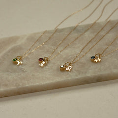 Customized Zodiac Sign With Birthstone Necklace