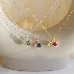 Customized Zodiac Sign With Birthstone Necklace